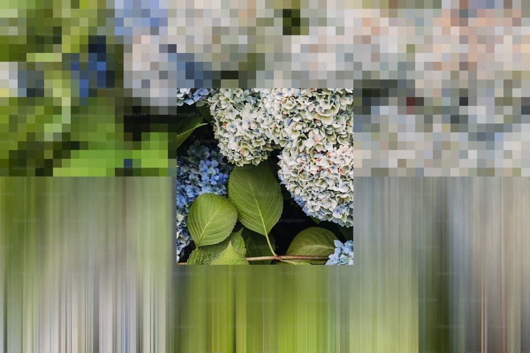 超绝影响力！IVE安宥真与张元英在"2025年度品牌大赏"双获奖