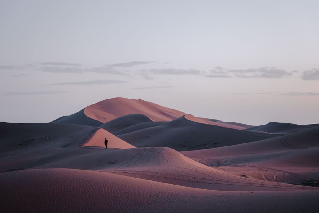 七夕降临，“牛郎”“织女”竟“渐行渐远”